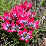 Elizabeth Brannin - 4-23-24 Elizabeth Brannin - 4-23-24