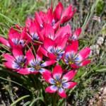 Elizabeth Brannin - 4-23-24 Elizabeth Brannin - 4-23-24