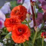 Elizabeth Brannin - 4-23-24 Elizabeth Brannin - 4-23-24