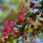 Elizabeth Brannin - 4-23-24 Elizabeth Brannin - 4-23-24