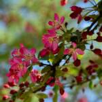 Elizabeth Brannin - 4-23-24 Elizabeth Brannin - 4-23-24