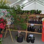 2024 Plant Sale - Apron Display 2024 Plant Sale - Apron Display