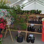 2024 Plant Sale - Apron Display 2024 Plant Sale - Apron Display