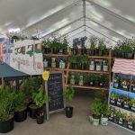2024 Plant Sale - In the Tent 2024 Plant Sale - In the Tent