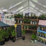 2024 Plant Sale - In the Tent 2024 Plant Sale - In the Tent