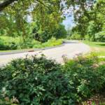View of the Driveway View of the Driveway