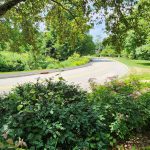 View of the Driveway View of the Driveway