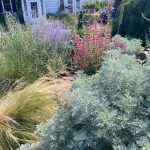 Slope Garden Across From Matildas Slope Garden Across From Matildas