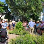 Biblical Botany Talk Biblical Botany Talk