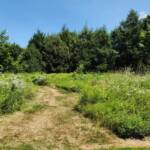 Meadow HS. Meadow HS.