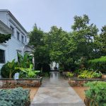 New Walkway New Walkway