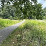 A Walk Through the Meadow - gp A Walk Through the Meadow - gp