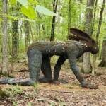 Cheekwood Crawling Lady Hare Cheekwood Crawling Lady Hare