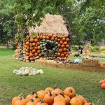 Cheekwood Pumpkin House Cheekwood Pumpkin House