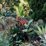 Beautiful Flowers by Elizabeth Brannin Beautiful Flowers by Elizabeth Brannin