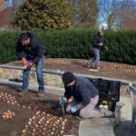2024 Bulb Planting 1 2024 Bulb Planting 1