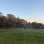 Foggy Morning on the Great Lawn Foggy Morning on the Great Lawn