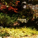 Beautiful Autumn by Elizabeth Brannin Beautiful Autumn by Elizabeth Brannin