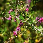 Beautiful Autumn by Elizabeth Brannin Beautiful Autumn by Elizabeth Brannin