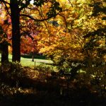 Beautiful Autumn by Elizabeth Brannin Beautiful Autumn by Elizabeth Brannin