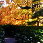Beautiful Autumn by Elizabeth Brannin Beautiful Autumn by Elizabeth Brannin