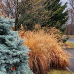 Texture Shape Color Size Texture Shape Color Size