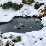 Frozen Pond Frozen Pond