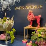 Philadelphia Flower Show 2025 Philadelphia Flower Show 2025