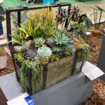 Philadelphia Flower Show 2025 Philadelphia Flower Show 2025