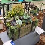 Philadelphia Flower Show 2025 Philadelphia Flower Show 2025