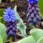 Spring Images by Mark Konopka Spring Images by Mark Konopka