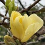 Spring Images by Mark Konopka Spring Images by Mark Konopka