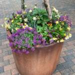 Container in Front of HEC Container in Front of HEC