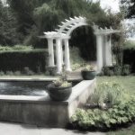 June 1 2025 images of Frelinghuysen Arboretum by Gail Susan Waimon June 1 2025 images of Frelinghuysen Arboretum by Gail Susan Waimon