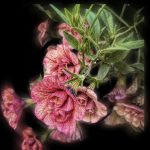 June 1 2025 images of Frelinghuysen Arboretum by Gail Susan Waimon June 1 2025 images of Frelinghuysen Arboretum by Gail Susan Waimon