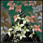 June 1 2025 images of Frelinghuysen Arboretum by Gail Susan Waimon June 1 2025 images of Frelinghuysen Arboretum by Gail Susan Waimon