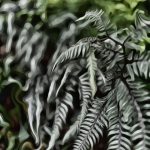 June 1 2025 images of Frelinghuysen Arboretum by Gail Susan Waimon June 1 2025 images of Frelinghuysen Arboretum by Gail Susan Waimon