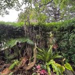 In the Nurserymens' Garden In the Nurserymens' Garden