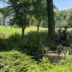 Sylvan Terrace Pool Sylvan Terrace Pool