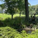 Sylvan Terrace Pool Sylvan Terrace Pool