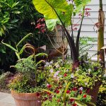 Purple Tuteur Purple Tuteur