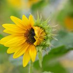 Katharine Boyle 8-2-25 Katharine Boyle 8-2-25