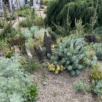 The Gravel Garden The Gravel Garden