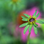 Katharine Boyle 8-2-25 Katharine Boyle 8-2-25