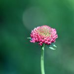 Katharine Boyle 8-2-25 Katharine Boyle 8-2-25