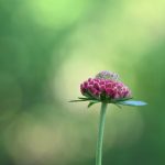 Katharine Boyle 8-2-25 Katharine Boyle 8-2-25