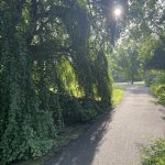 Shawn Allen - 7/31/25 Shawn Allen - 7/31/25