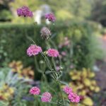 Shawn Allen - 7/31/25 Shawn Allen - 7/31/25