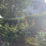 Shawn Allen - 7/31/25 Shawn Allen - 7/31/25