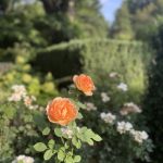 Shawn Allen - 7/31/25 Shawn Allen - 7/31/25